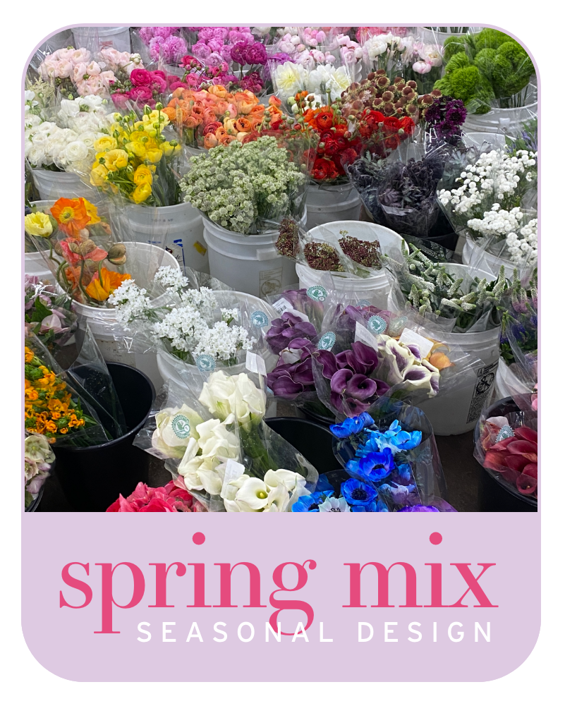 spring blooms dod